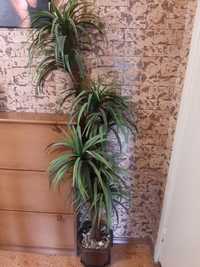 Декоративная пальма искусственная