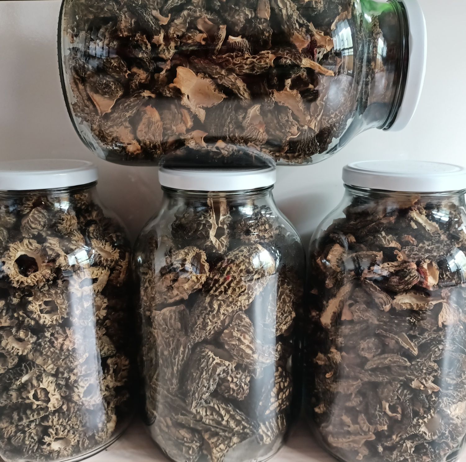 Smardze suszone (morchella conica) 50g.