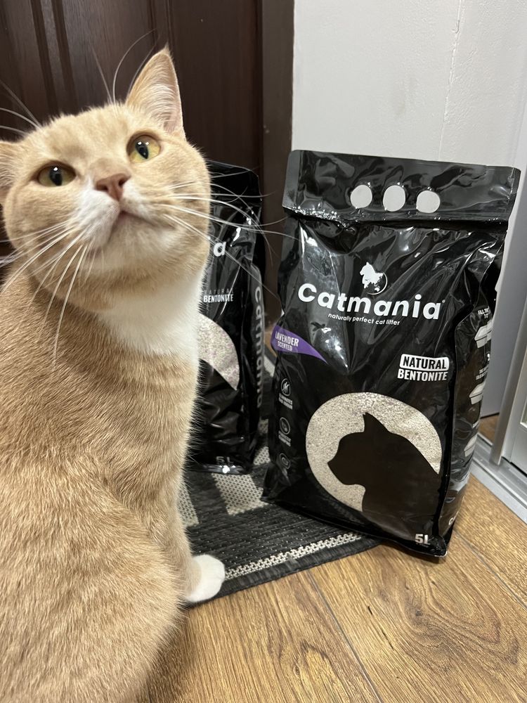 Котячий бентонітовий наповнювач Catmania