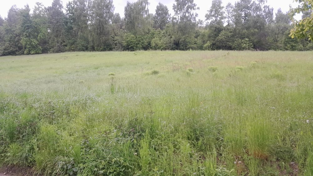 Działka rolna Czułów 70ary