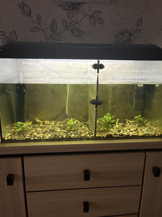 Продам акваріум100л