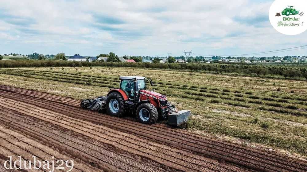 wycinka drzew mulczer frezowanie pni czyszczenie działek mulczowanie