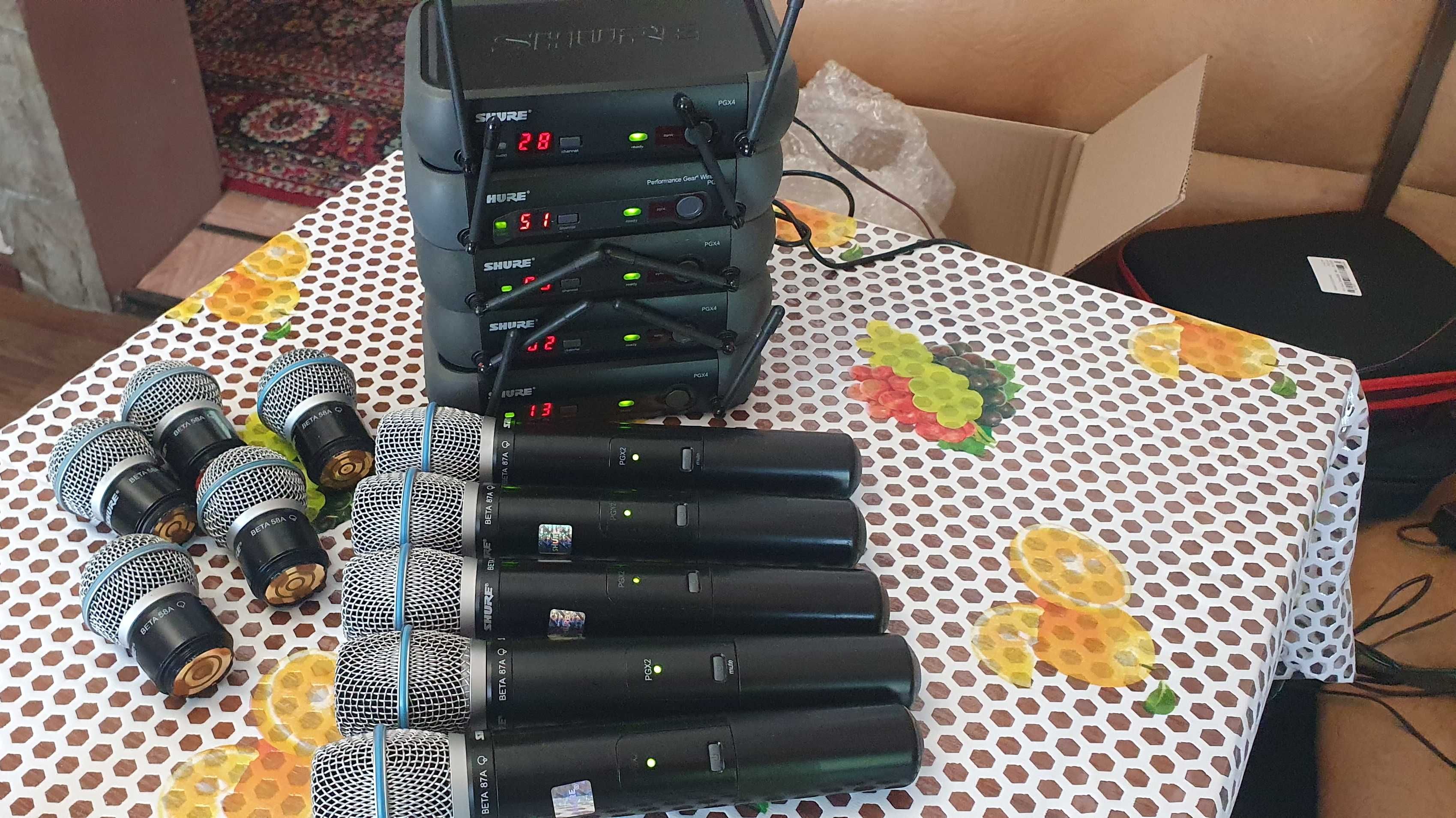 Радіомікрофон Shure Pgx