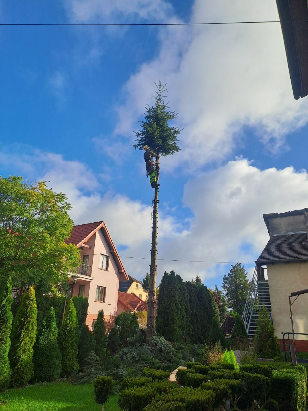 Wycinka drzew metodą alpinistyczna, wycinanie drzew, przycinanie