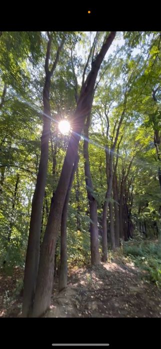 Ділянка біля річки з фундаментом