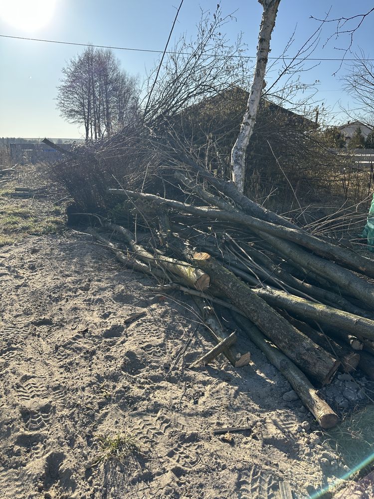 Oddam Gałęzie za Darmo