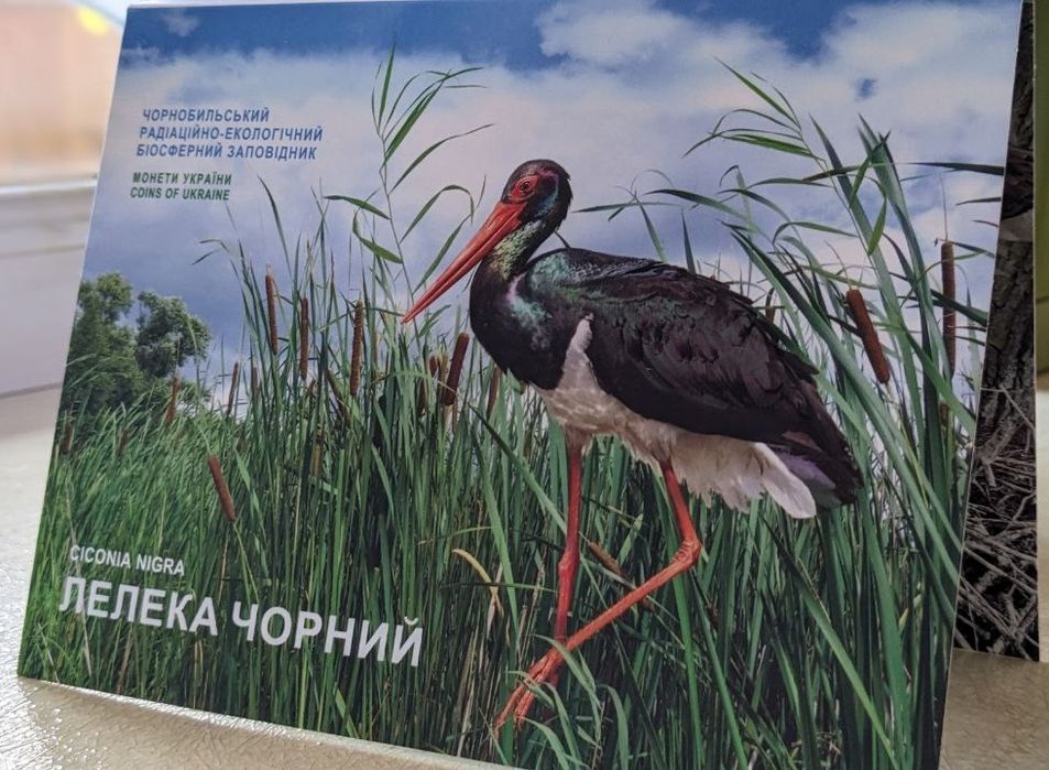 Сміливість бути ua, Кохання, Лелека, рік дракона НБУ