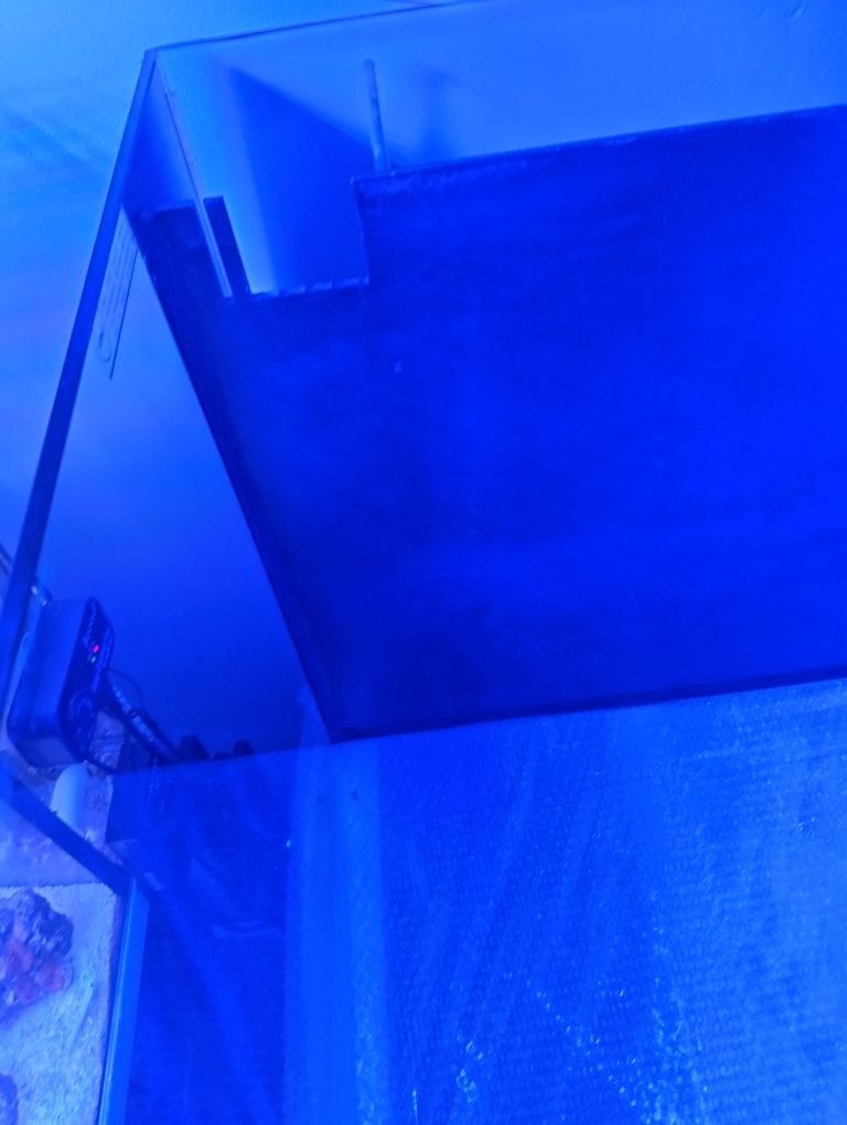 Troco aquário com sump por corais