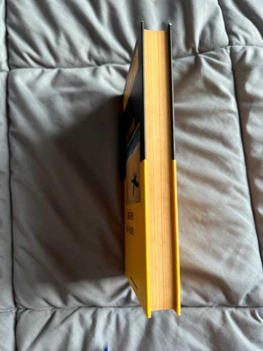 Capitães da Areia - Jorge Amado