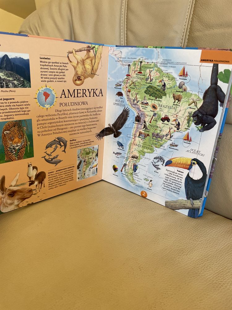 książka dla dzieci zwierzęta świata 6 puzzli układanki 24 el