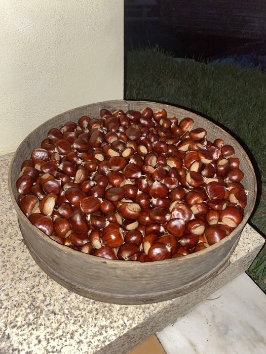 Castanhas biológicas