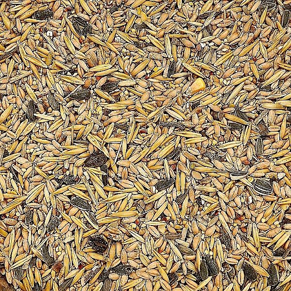 5kg Uniwersalna karma dla ptaków ziarno pokarm zimowy karmnik Champi