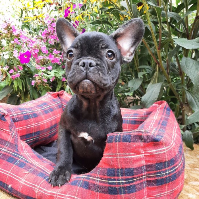 Мальчик и девочка