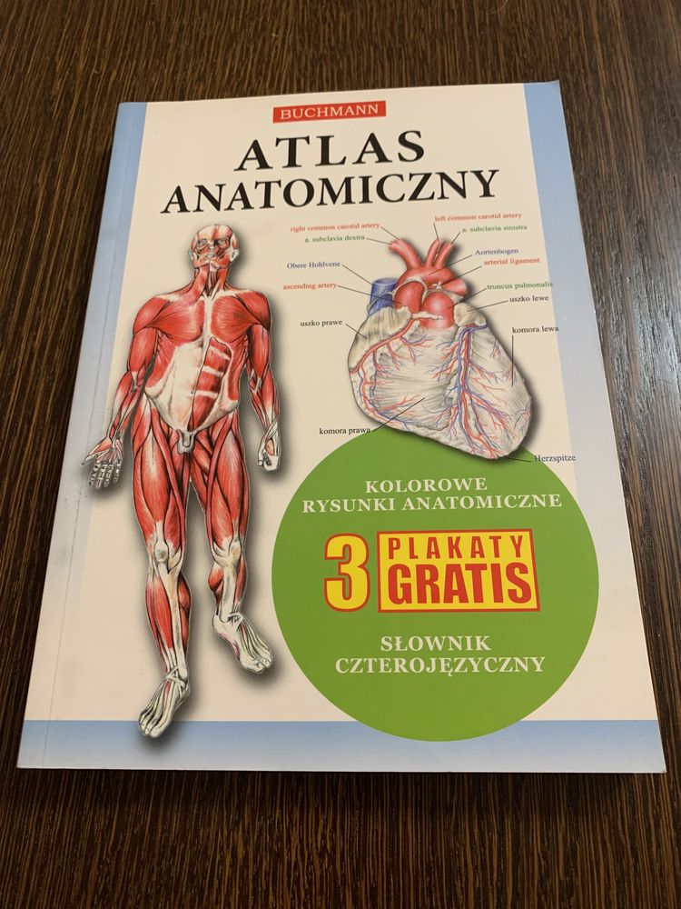 Atlas anatomiczny- Buchmann