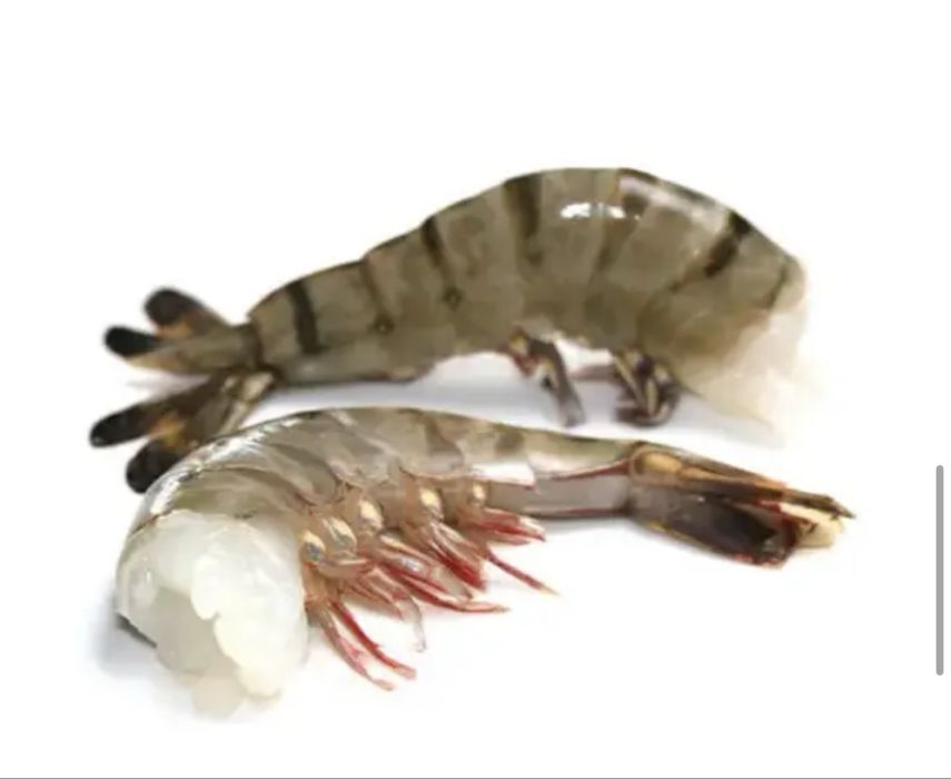 Креветка  тигрова 16/20