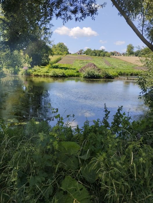 Продаж земельна ділянка, під забудову