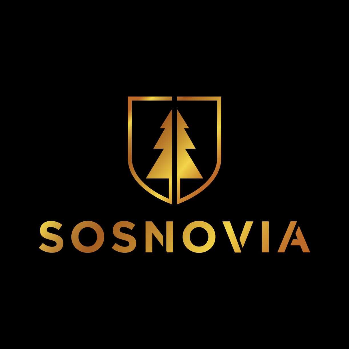 Apartament "Sosnovia" 4