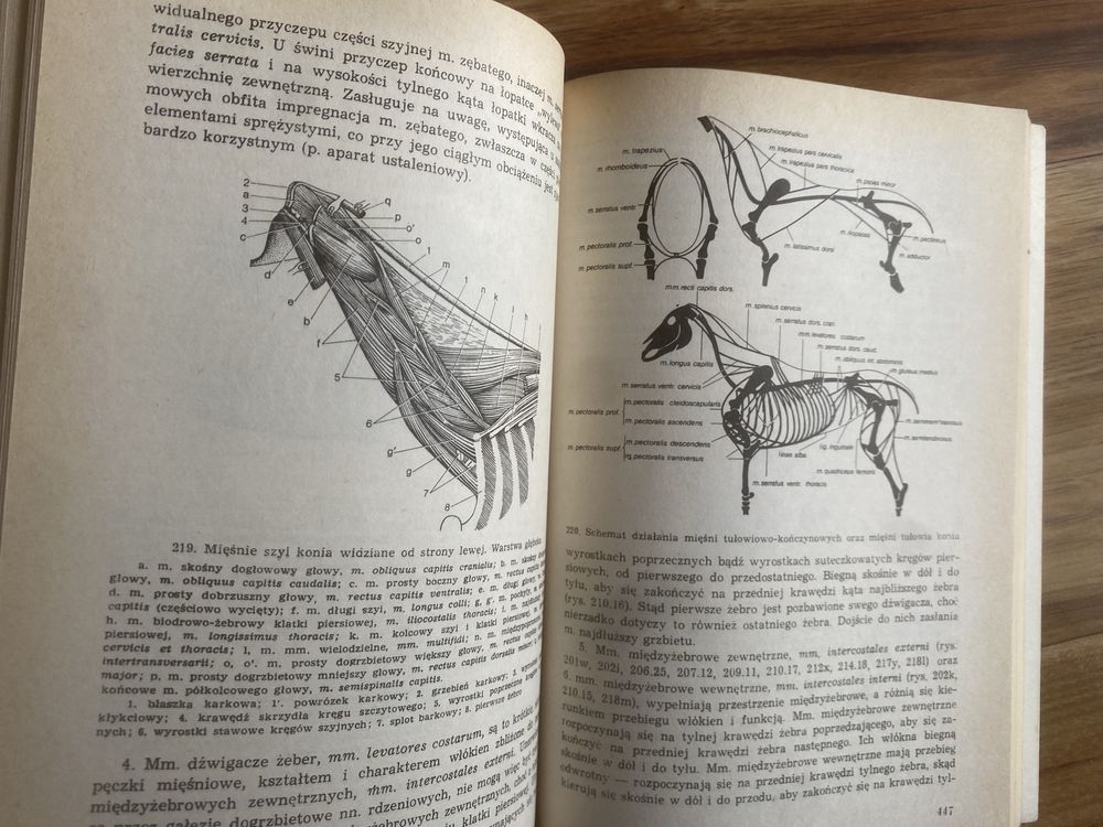 Kazimirrz Krysiak. Anatomia zwierząt tom 1 część 1,2,3