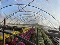 Namiot tunel foliowy folia