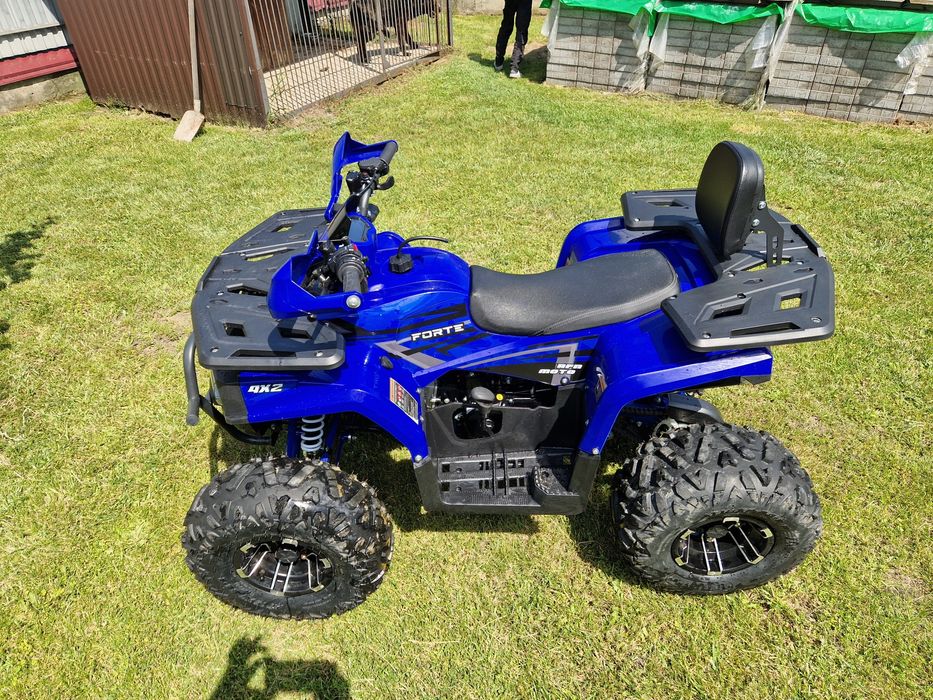 Квадроцикл дитячий Forte 125