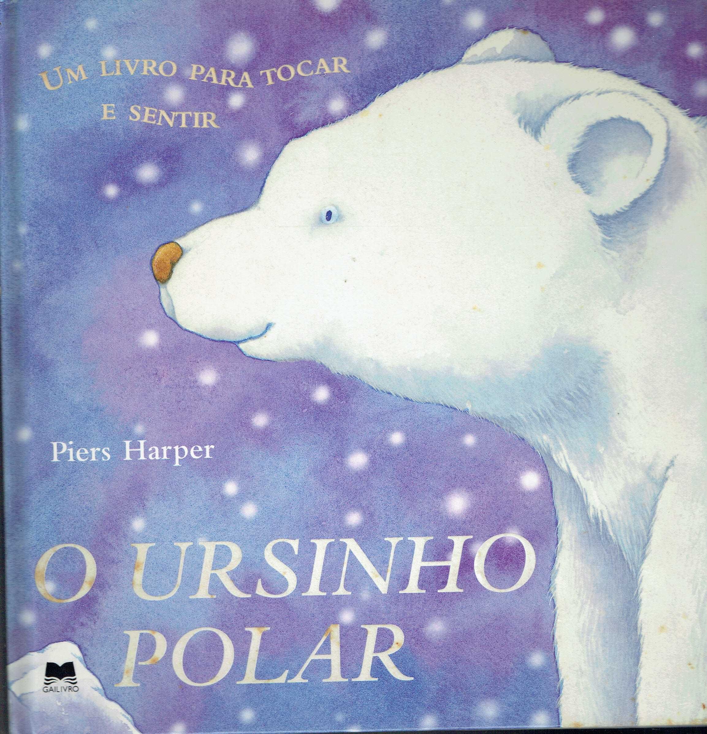 7888 O Ursinho Polar