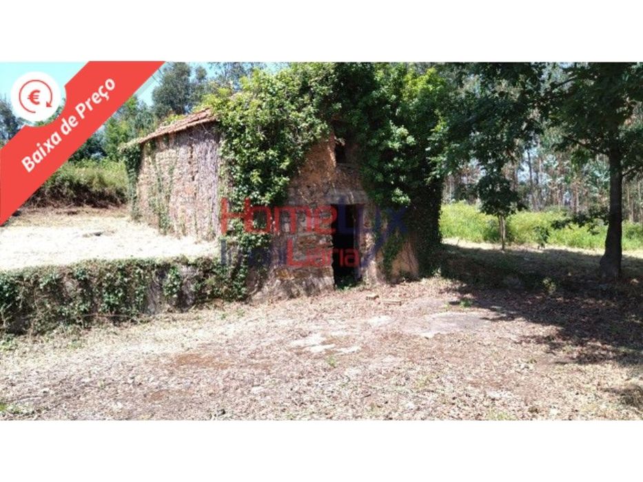 Terreno em Águeda