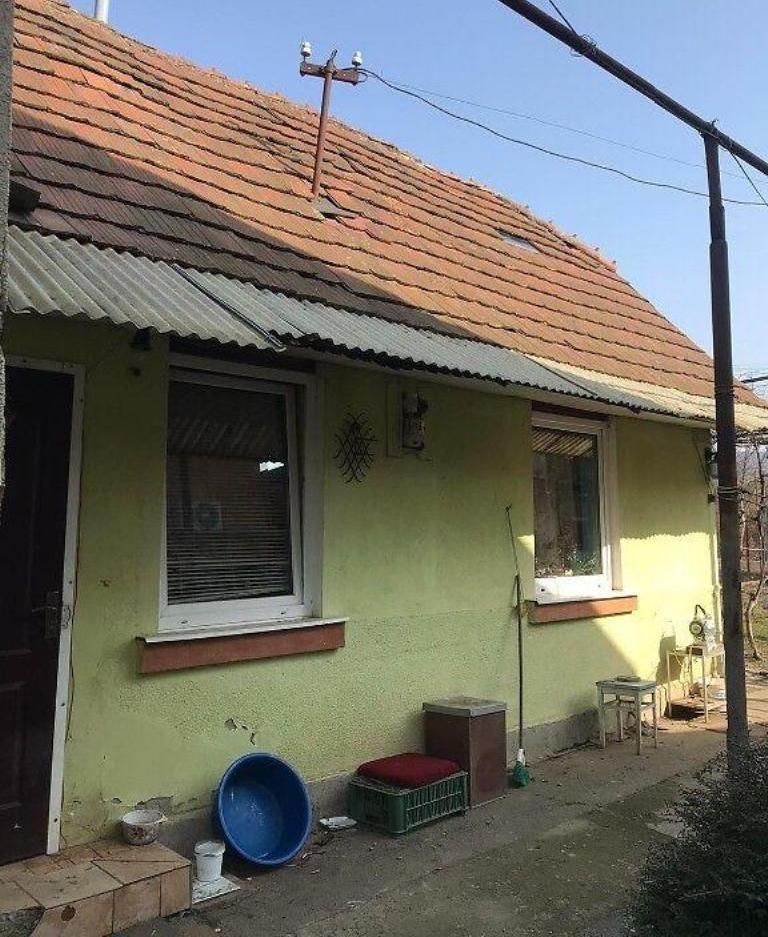 Будинок з великою ділянкою в затишному місці м. Ужгород