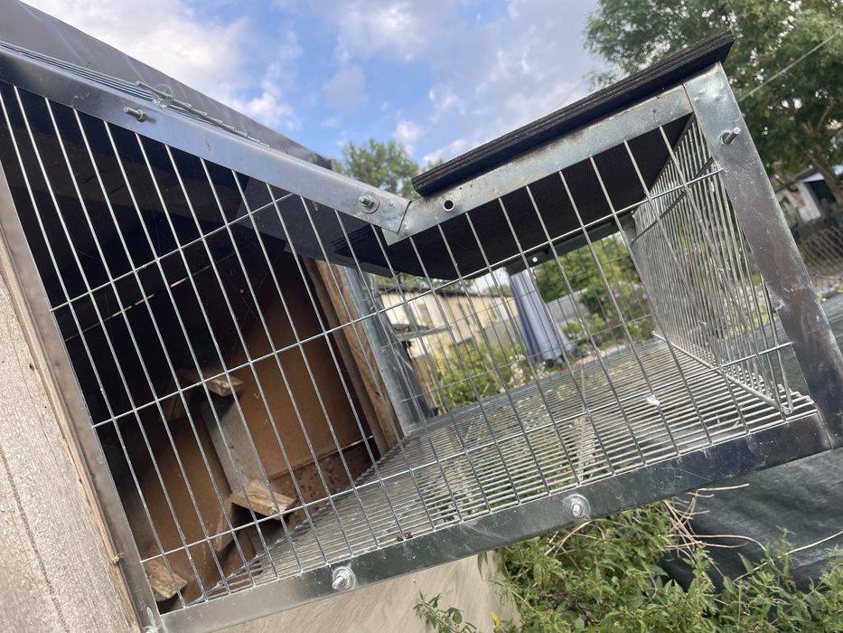 Wlot wylot belgijski