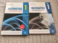 Matematyka. Zbiór zadań i podręcznik kl. 1 szkoła średnia
