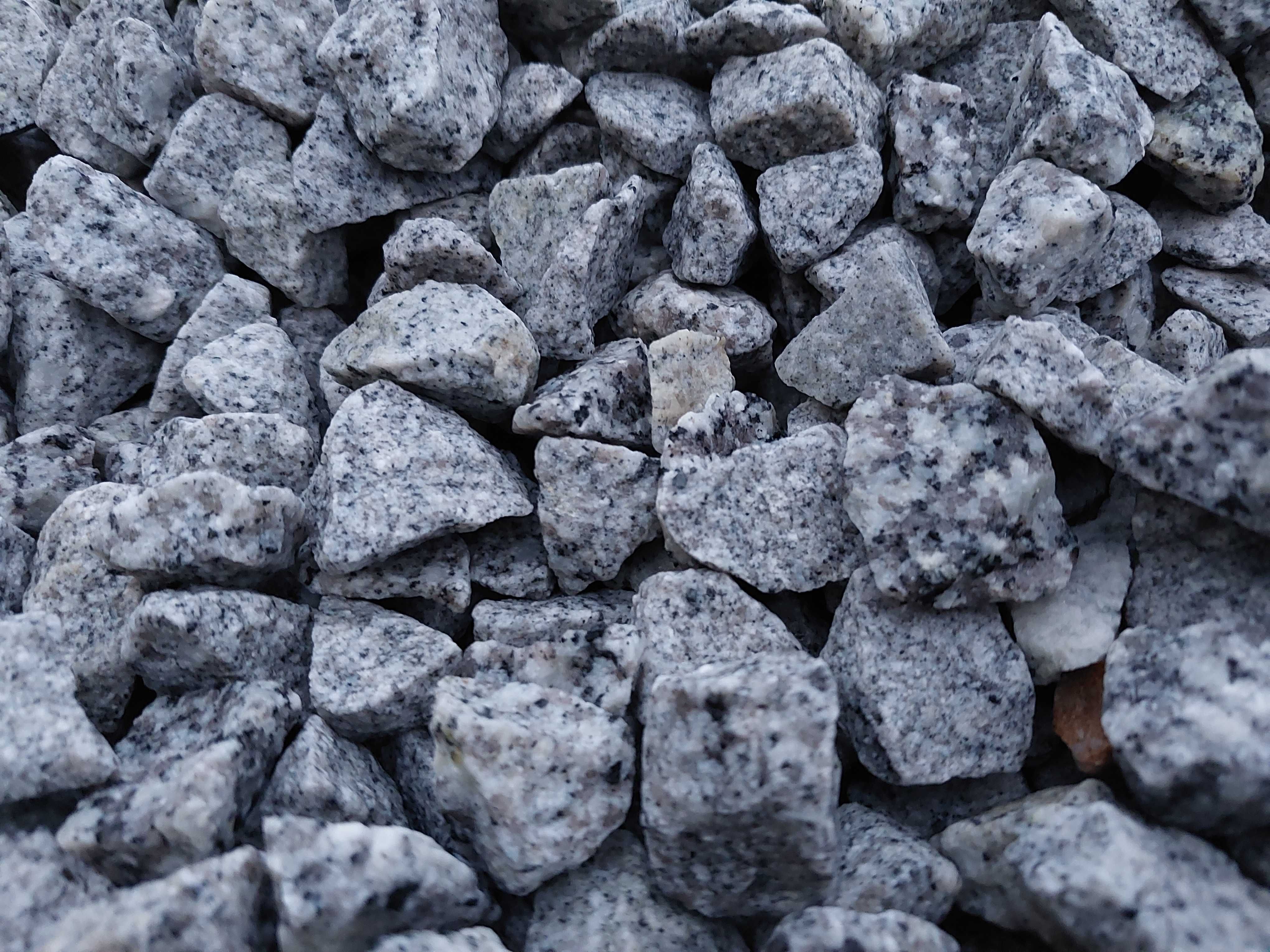 Grys Dalmatyńczyk ozdobny granitowy