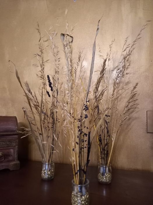 Flores naturais secas