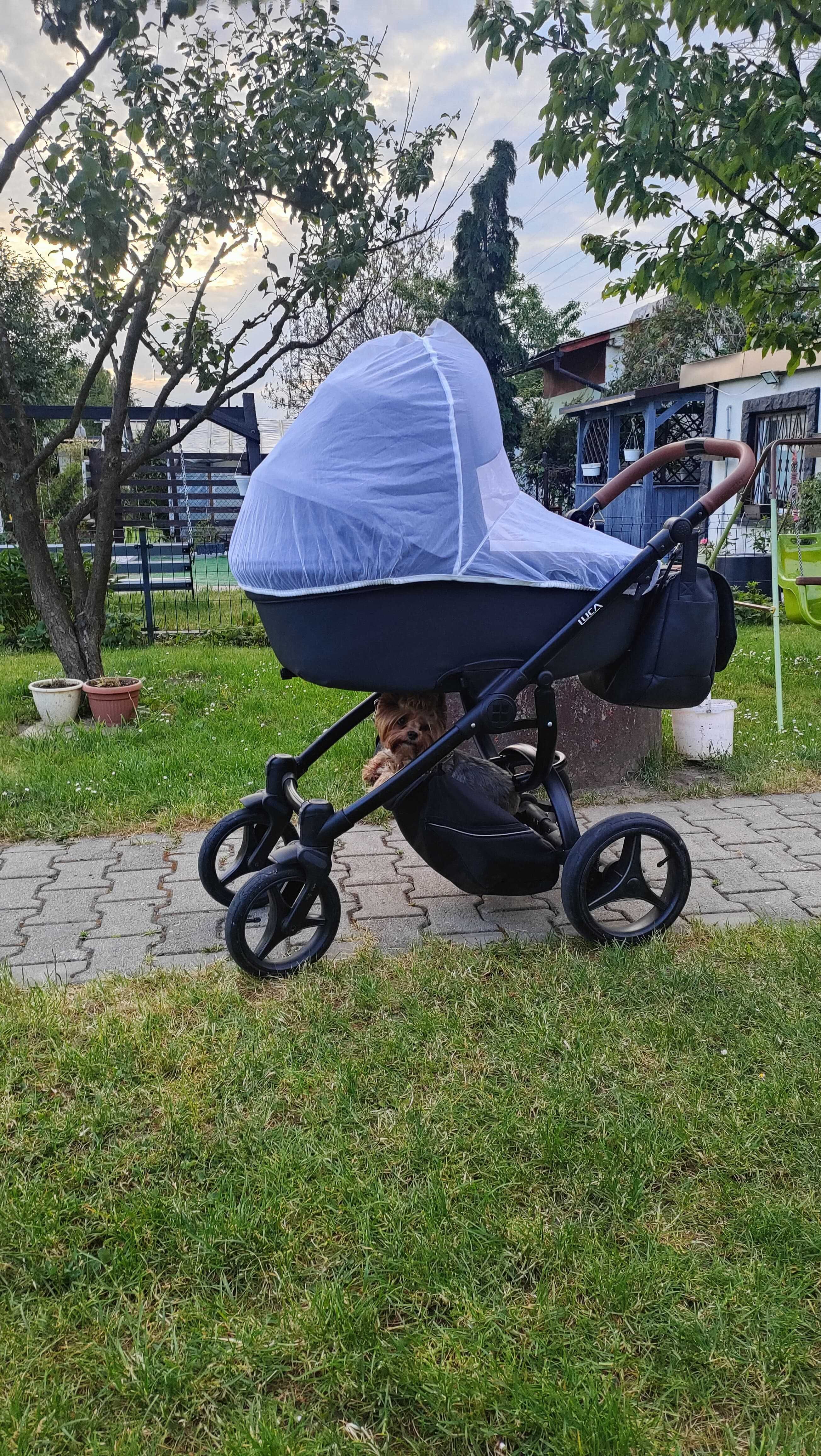 Bebetto Luca wózek 3w1
