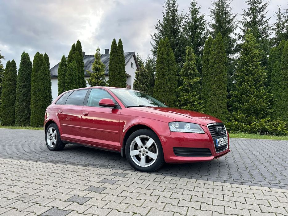 Audi A3 Sportback Audi A3 8P Lift 1.6 MPI