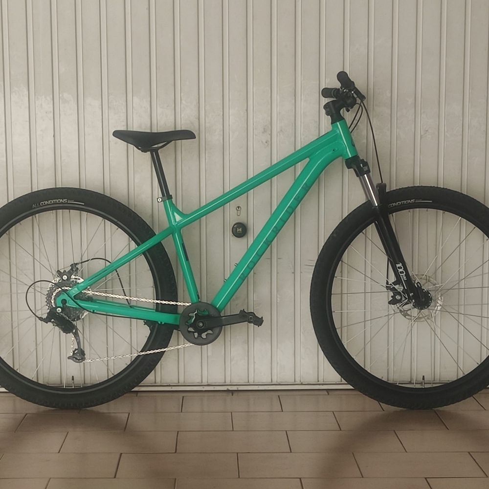 ROCKRIDER EXPL 100 Green 29" L
