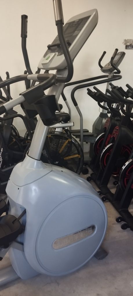 Step Profissional Precor