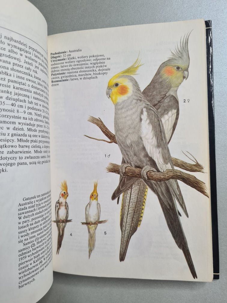 Ptaki ozdobne - Książka