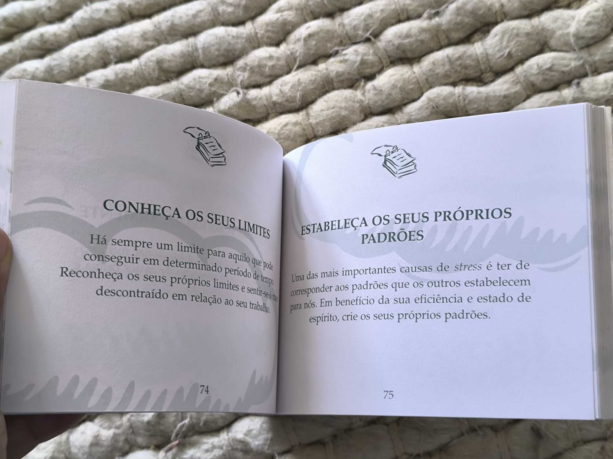 O Pequeno Livro da Calma no Trabalho
de Paul Wilson