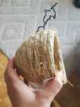 Gniazdo dla malych papug i ptaszkow 12.5x12.5 do mocowania z uchwetem