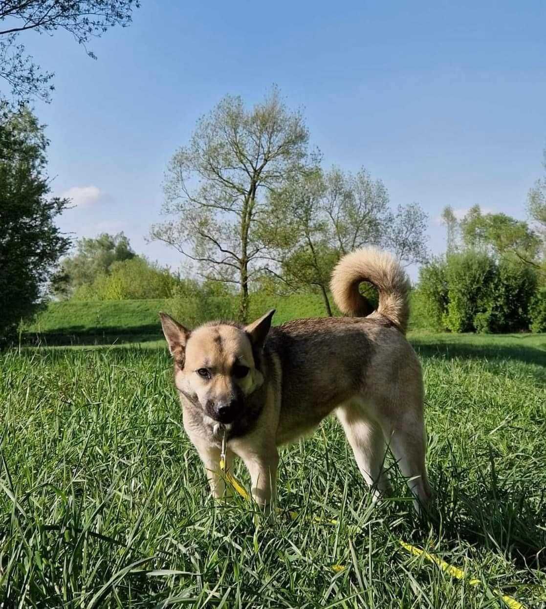 Smutek, bo nikt nie pyta o nią..