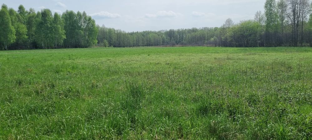 Działka budowlana Buczków, gmina Rzezawa, małopolskie