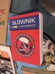 Słownik z rozmówkami angielsko-polski polsko-angielski