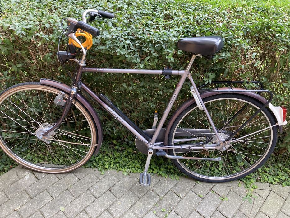 Rower holenderski Batavus