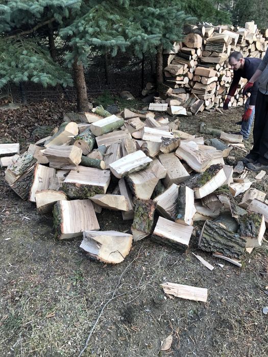 Drewno kominkowe opałowe Buk
