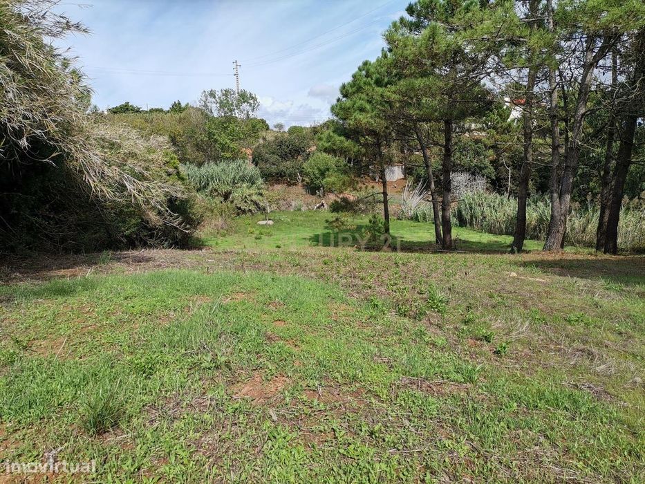 Terreno na Serra dos Mangues - Cova do Poço