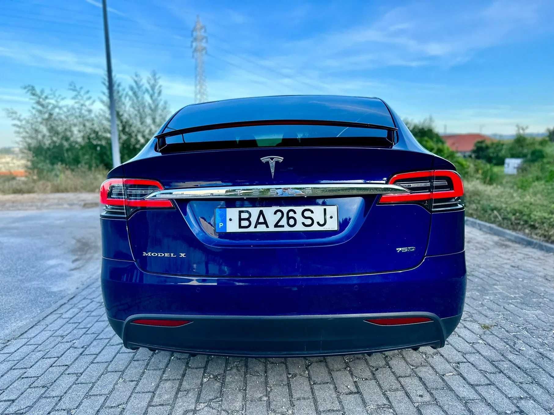 Tesla Model X 75 D - 18