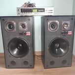Wzmacniacz Diora WS 354 z kolumnami Mildton