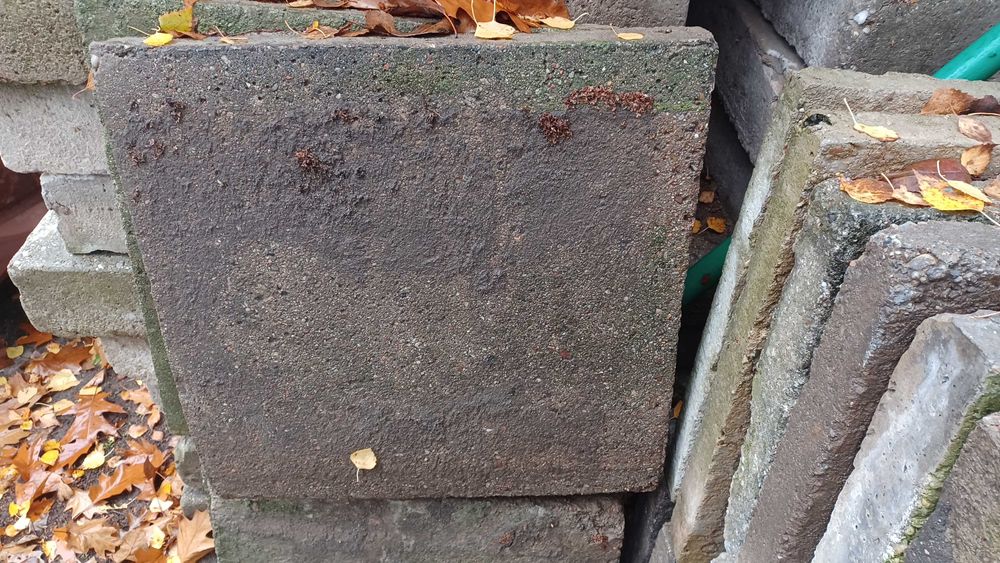 Płytka chodnikowa 50x50