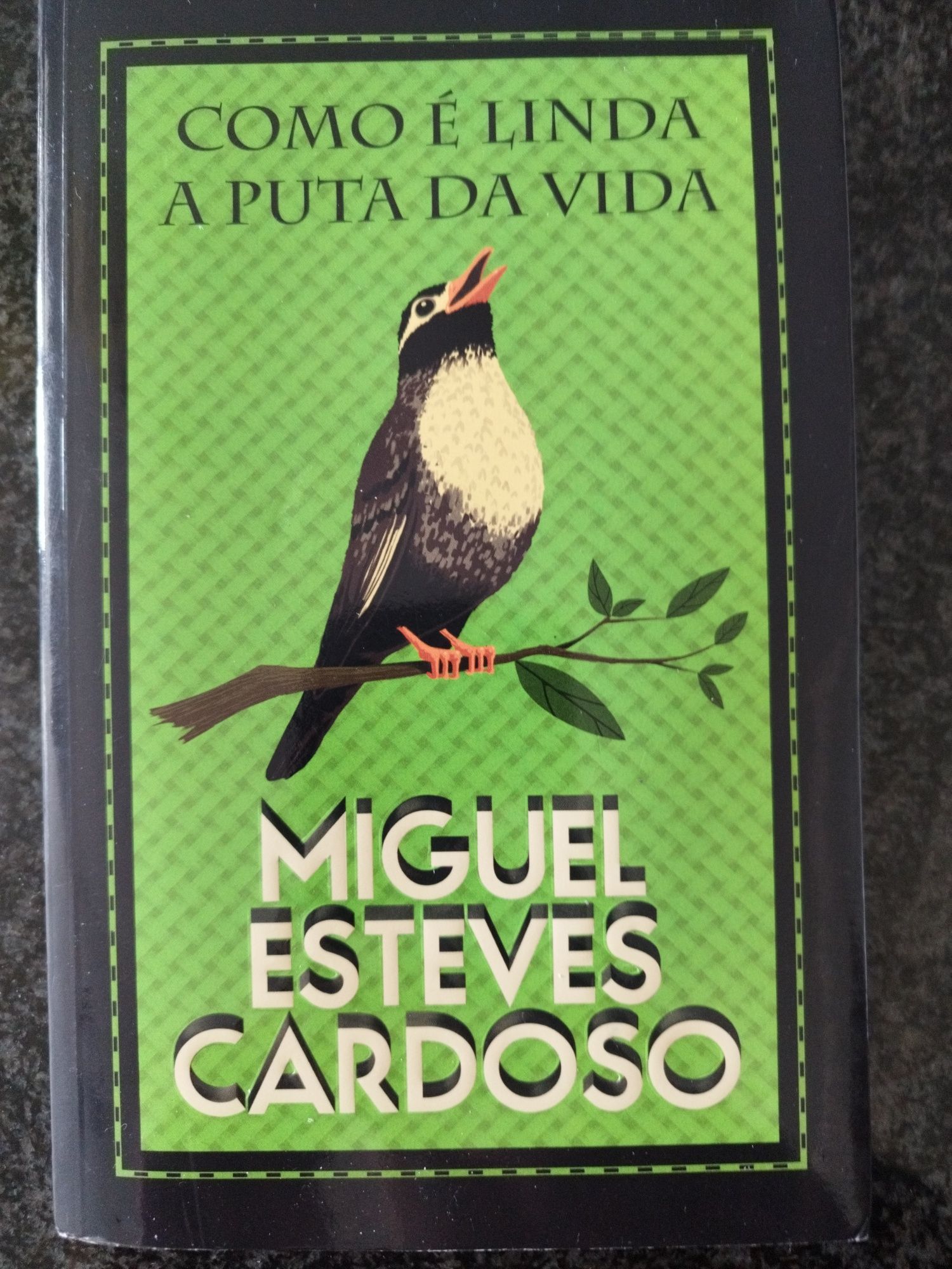 Livro Miguel Esteves Cardoso