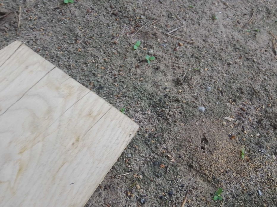 Parapet dębowy, heblowany 4 cm grubości