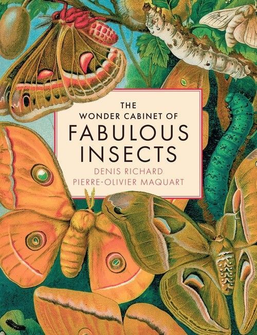 Wonder Cabinet Of Fabulous Insects